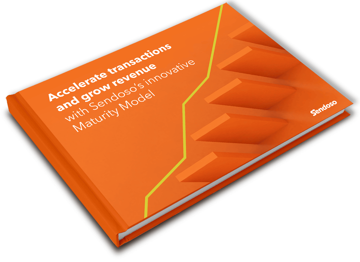 Maturity Model eBook